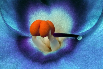 F 032B